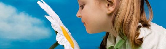 Pronósticos de la calidad del aire